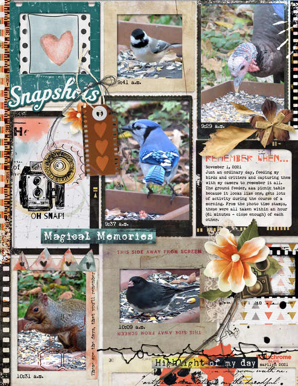 Little-Butterfly-Wings_2021-11_November_BYOC_1105_Memory-Lane_web