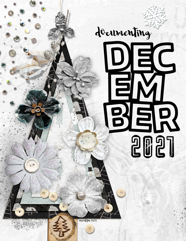 Little-Butterfly-Wings_2021-12_December_Challenge_1201_web