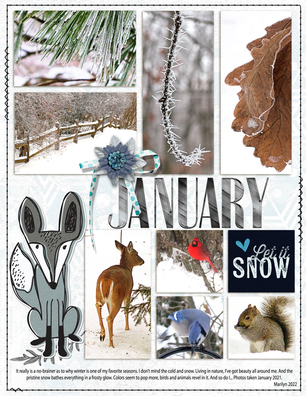 Little-Butterfly-Wings_2022-01_January-Template-Challenge_web