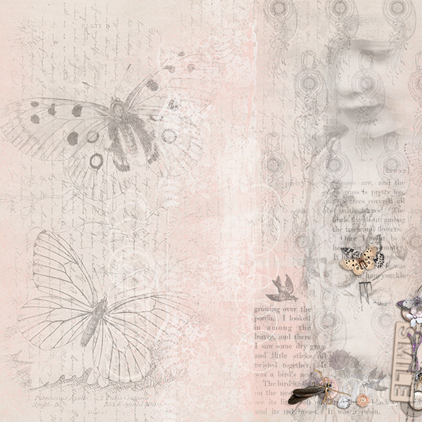 Little Butterfly
