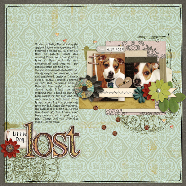 Little Dog Lost