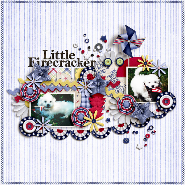 Little Firecracker