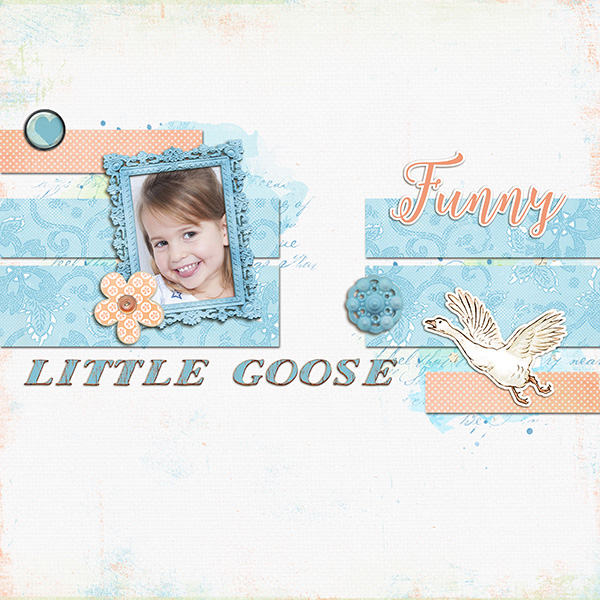Little Goose