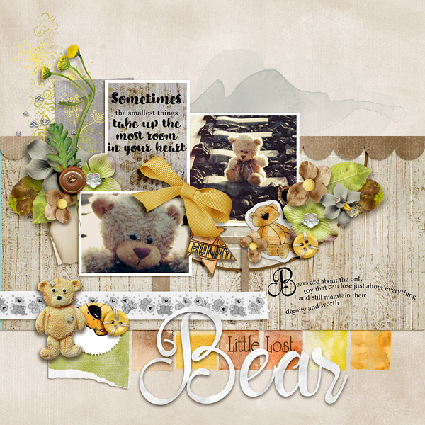 Little Lost Bear