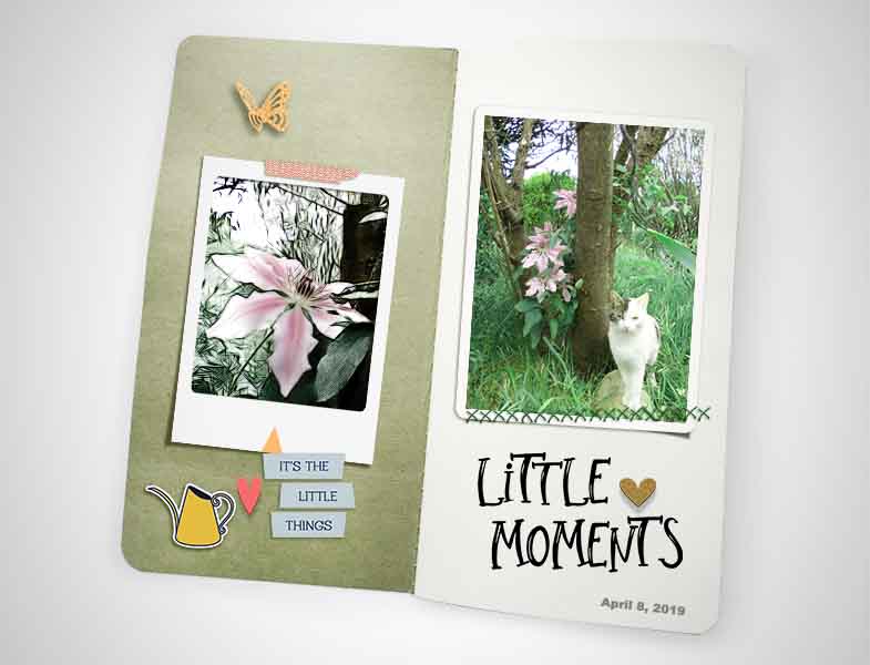 Little Moments