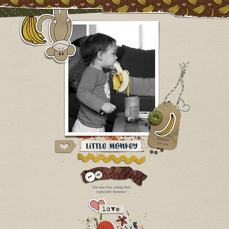 Little Monkey