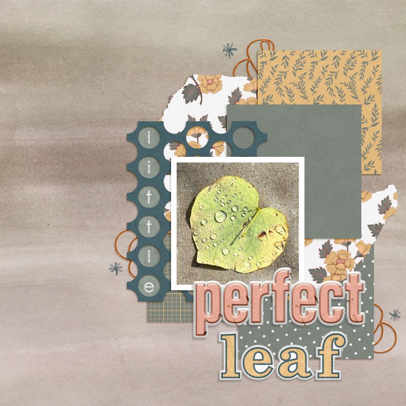 Little Perfect Leaf