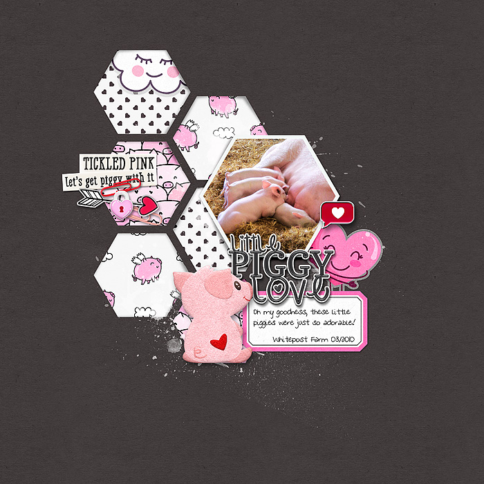 Little Piggy Love
