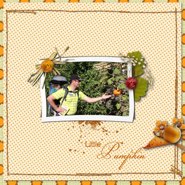 Little Pumpkins