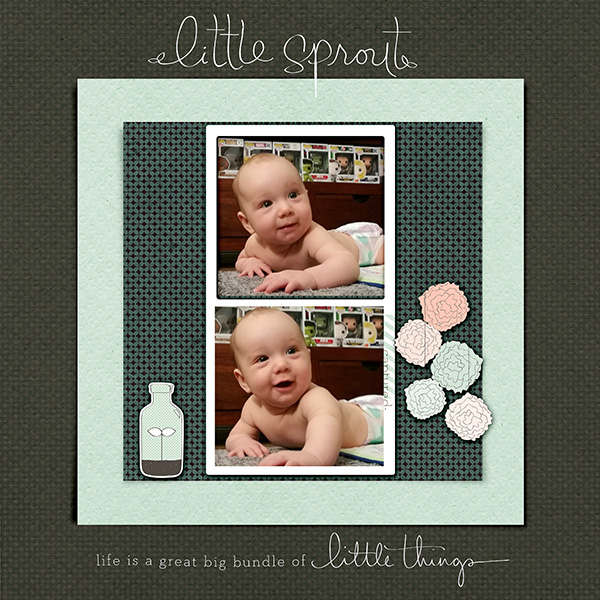 Little-Sprout