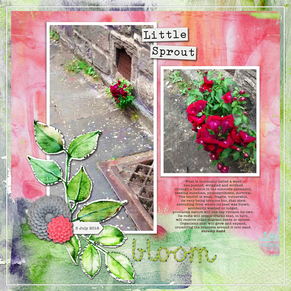 "Little Sprout"