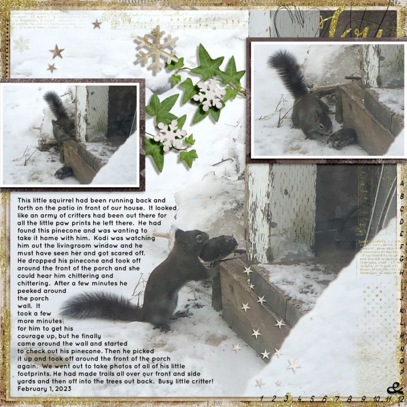 LITTLE SQUIRREL
