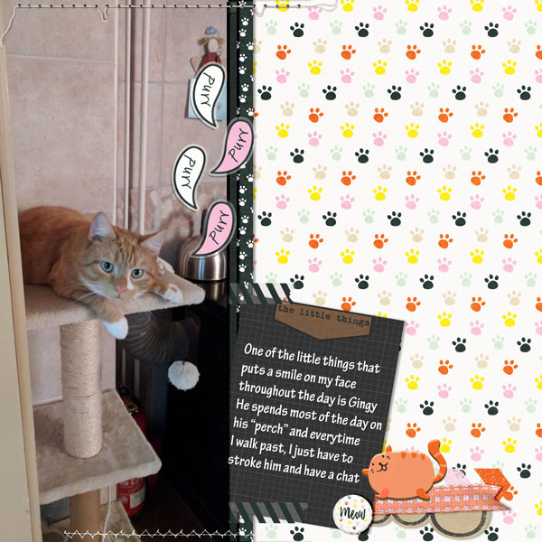 Little Things or Gingy