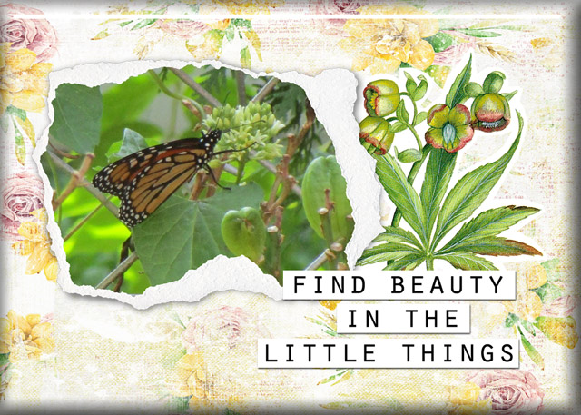 Little-Things