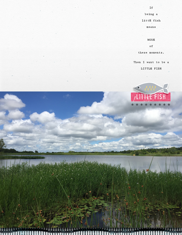 LittleFish
