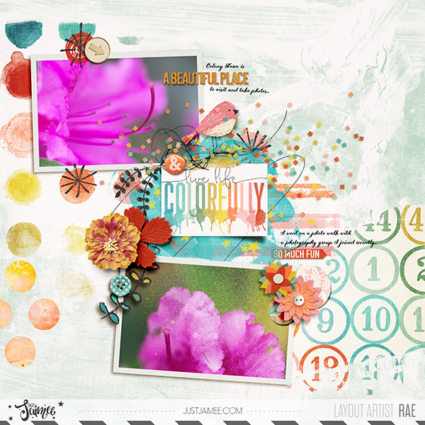 Live Life Colorfully