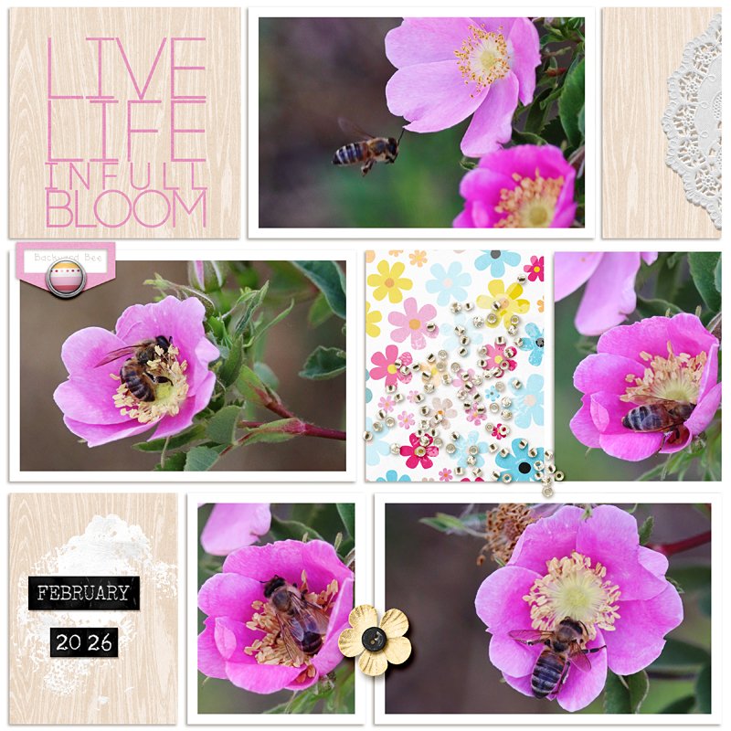 Live Life in Full Bloom
