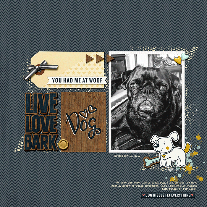 Live Love Bark
