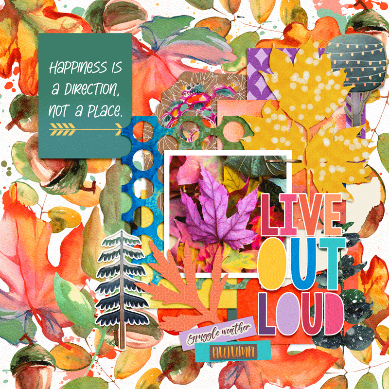 Live Out Loud