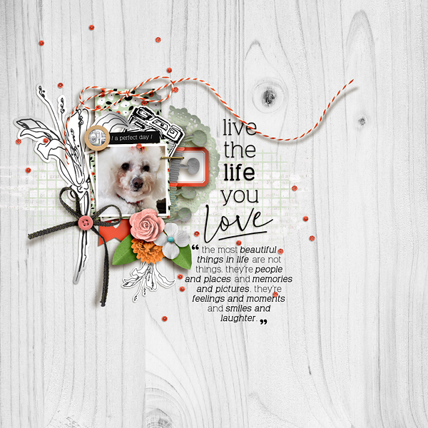 Live The Life You Love