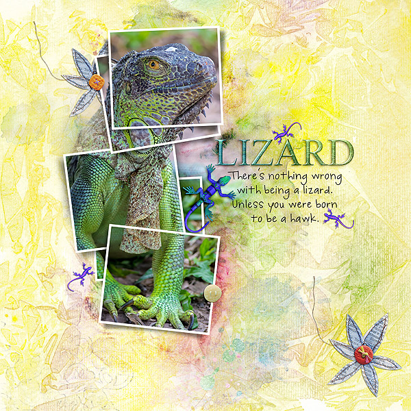 Lizard