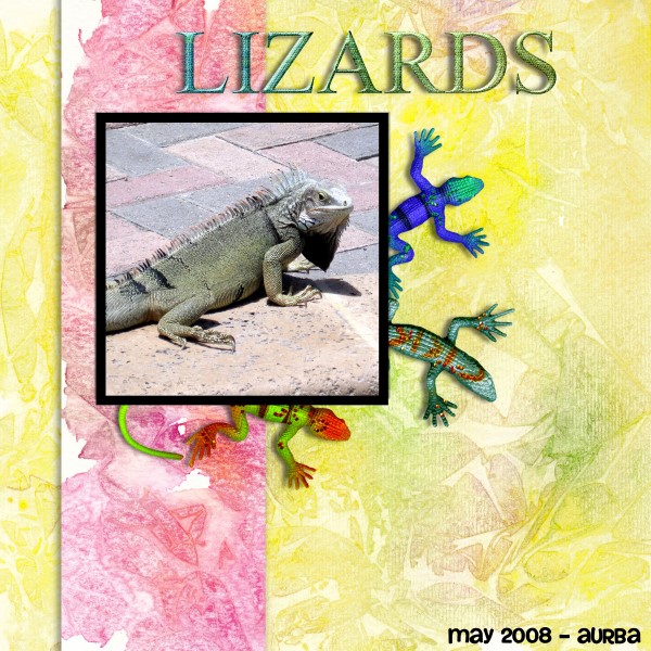 Lizards