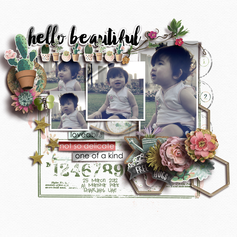LO598-Hello-Beautiful