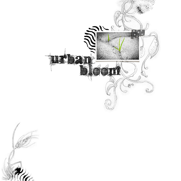 LOC_2-21_CD_Urban Bloom