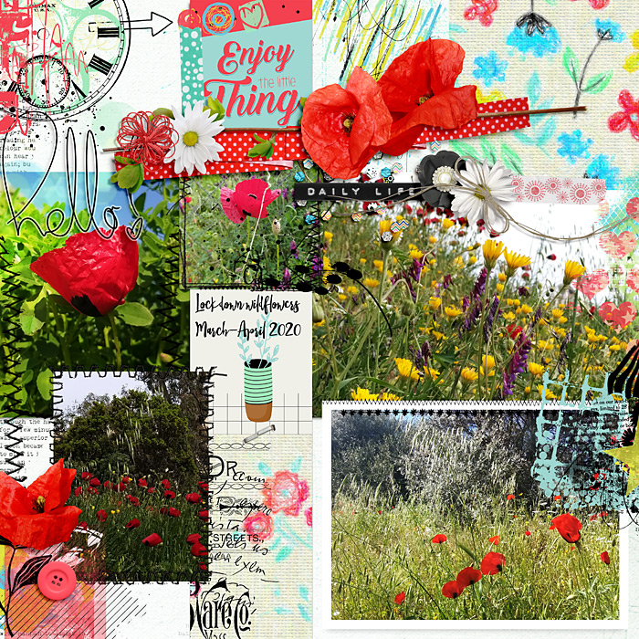 Lockdown wildflowers