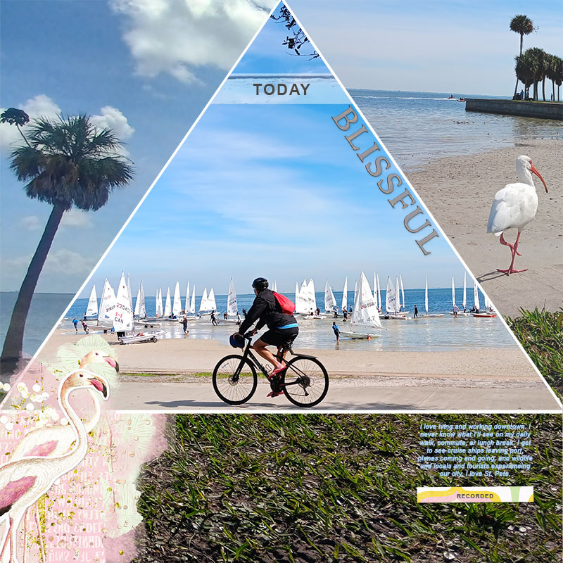 LOD 17 - LG - DTSP