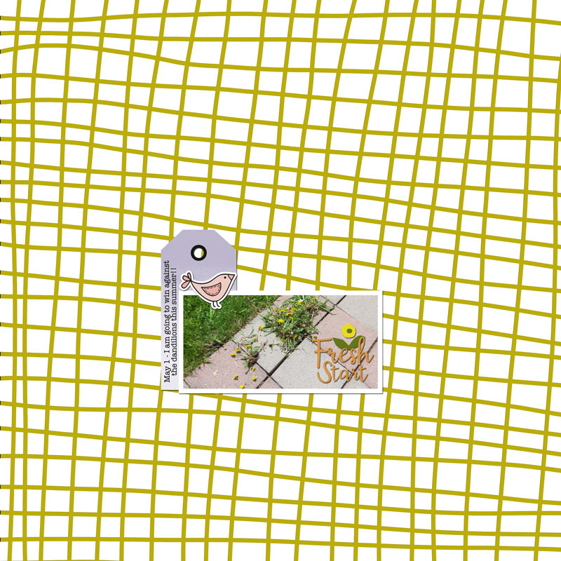 LOD-2025-Grace-In-Color