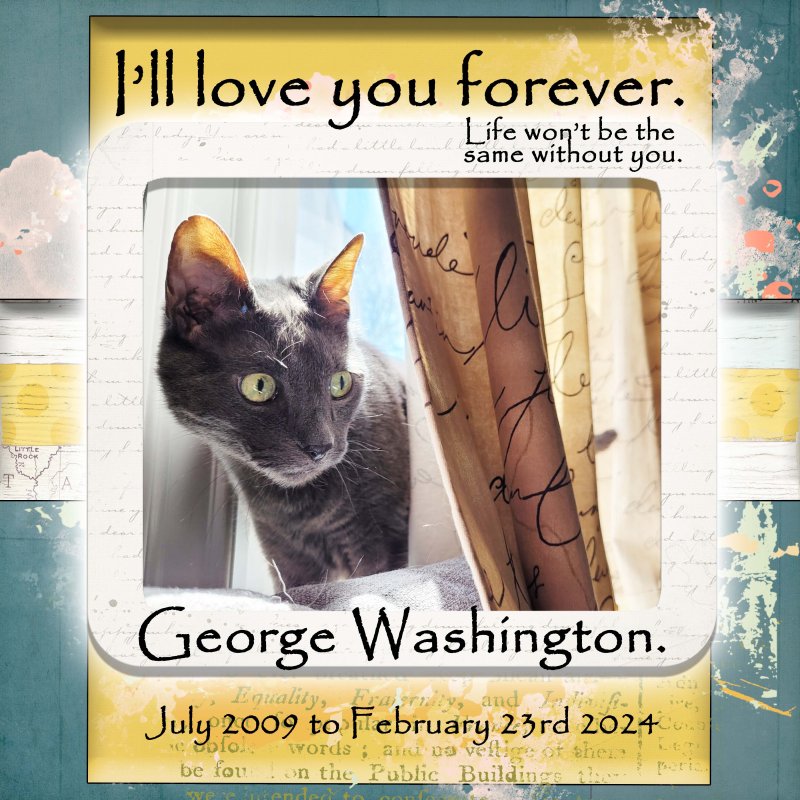 LOD Lynn Grieveson Farewell To George Washington