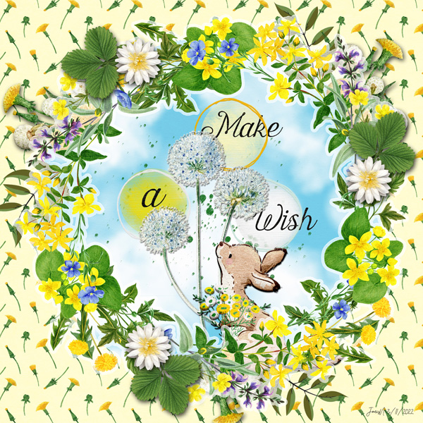 LOD0311_fj_makeawish