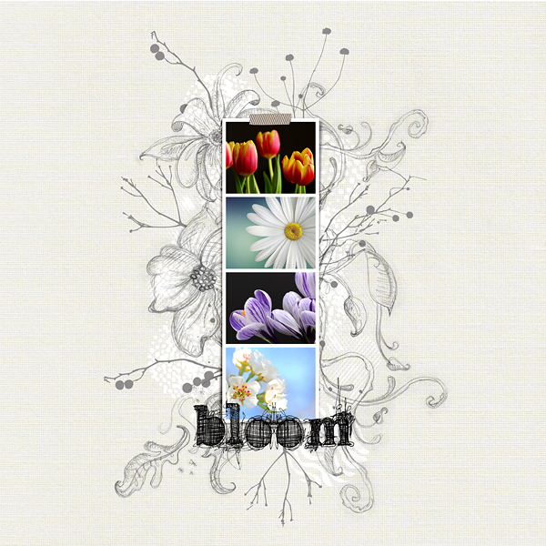 LOD22_day22_CD_Bloom