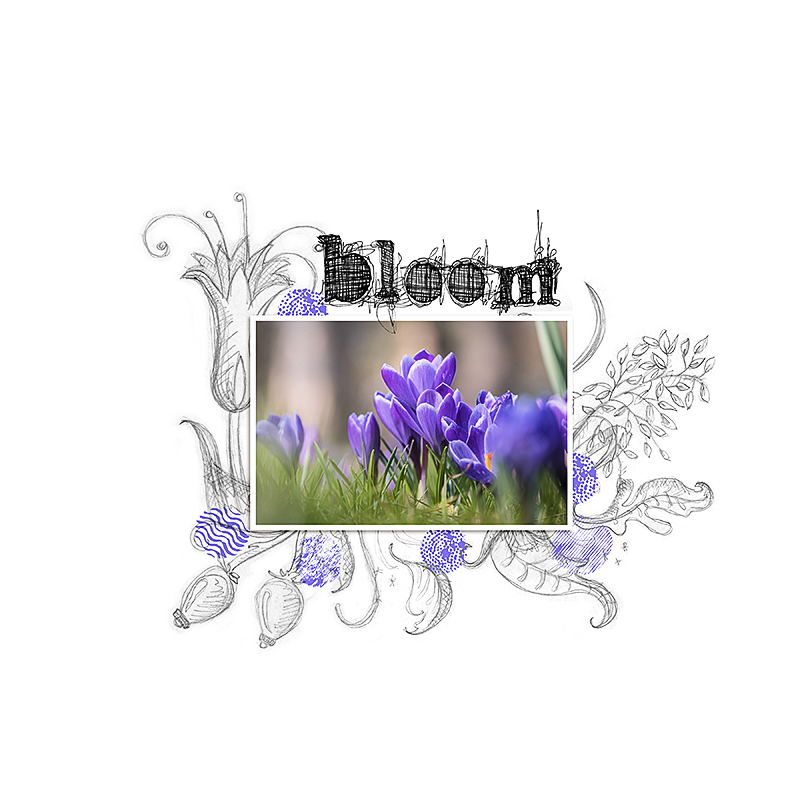 LOD35_CD_Bloom