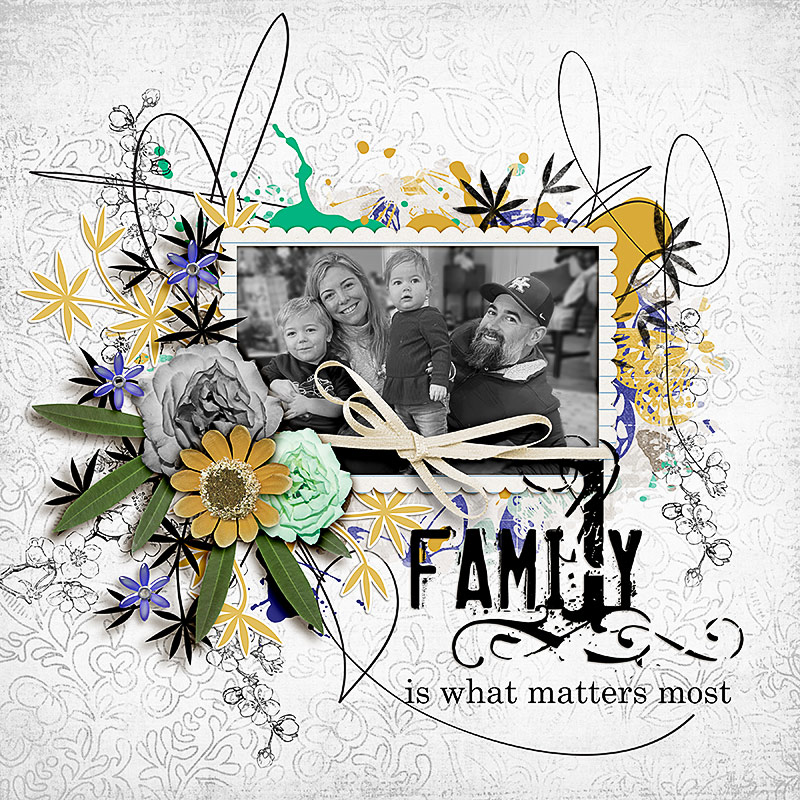LOD9_JP_Family