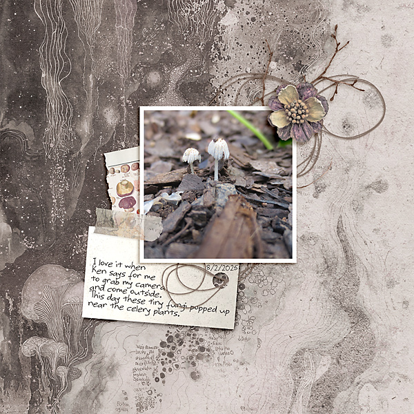 LOD_A Whimsical Adventure_Fungi in the gardnen