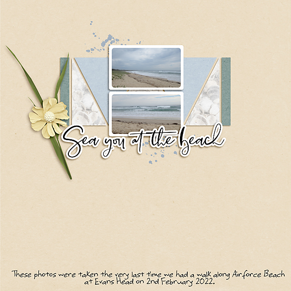 LOD_AnitaDesigns_Airforce Beach