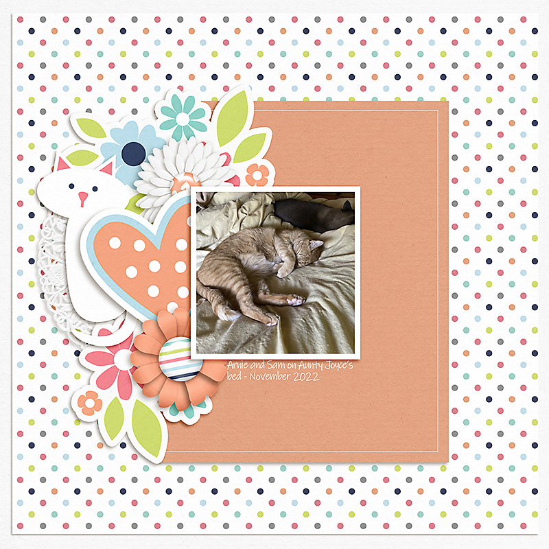 LOD_Becca Bonneville_Cats on bed