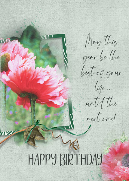 LOD_Elif Sahin Designs_Poppies_Card