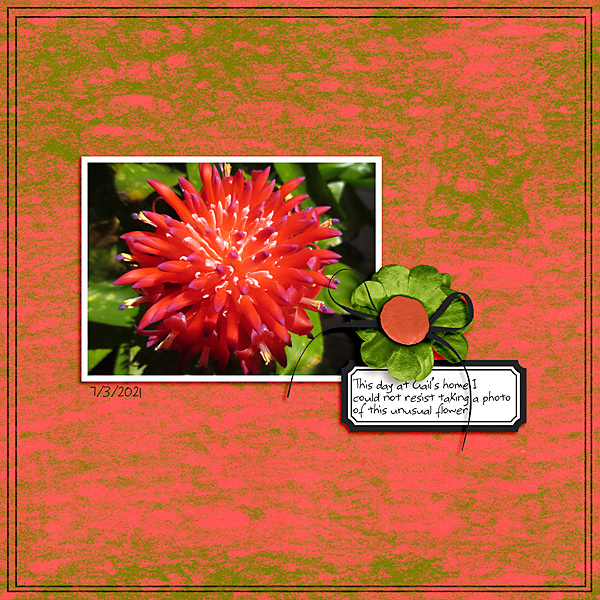 LOD_ElifSahinDesigns_Gails-Flower