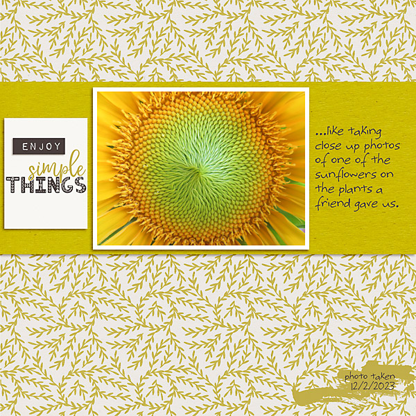 LOD_Joyce-Paul_Sunflower