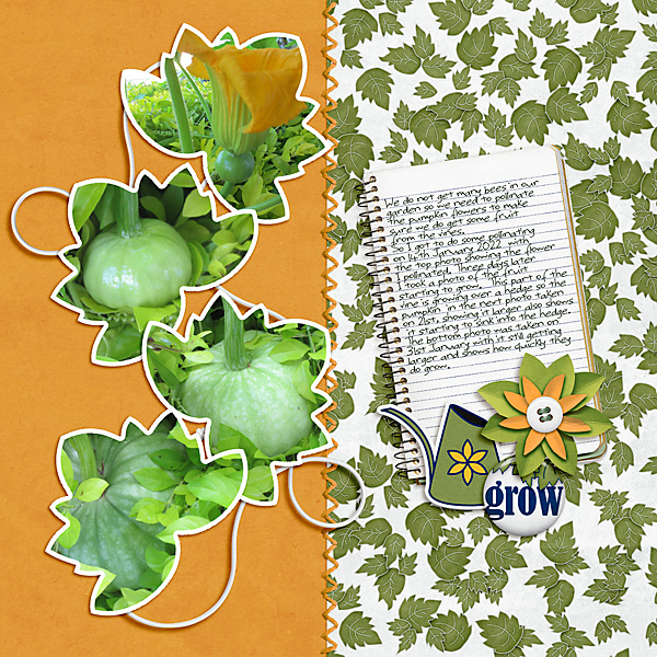 LOD_Kim Jensen_Pumpkin