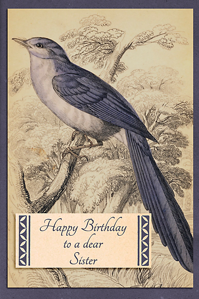LOD_Lynne-Marie_Card for Sister