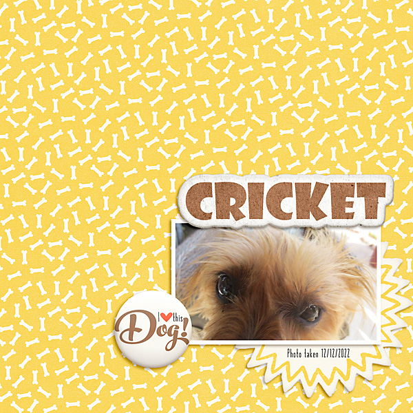 LOD_Mommyish_Cricket
