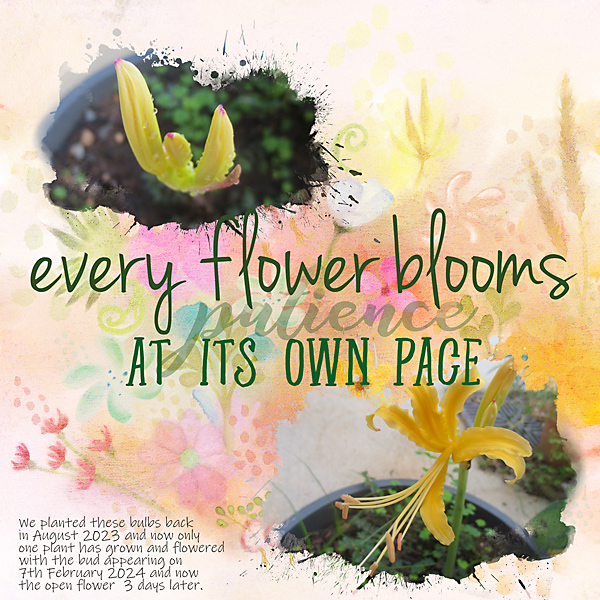 LOD_Rebecca McMeen_Flowers Bloom