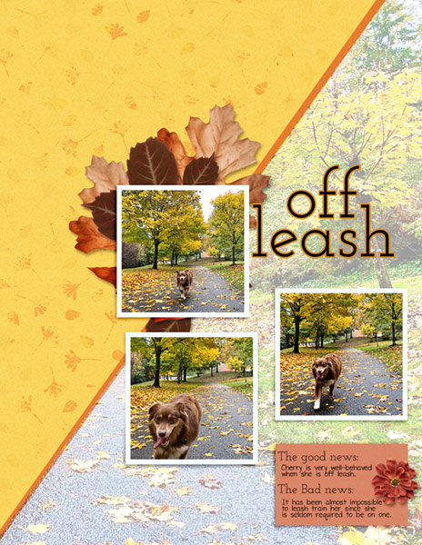 LOD_Soco_Off-Leash