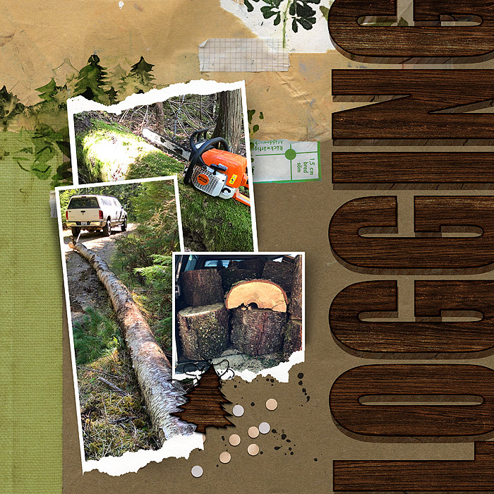 Logging MOC #17