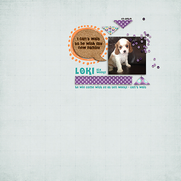 Loki 6 weeks