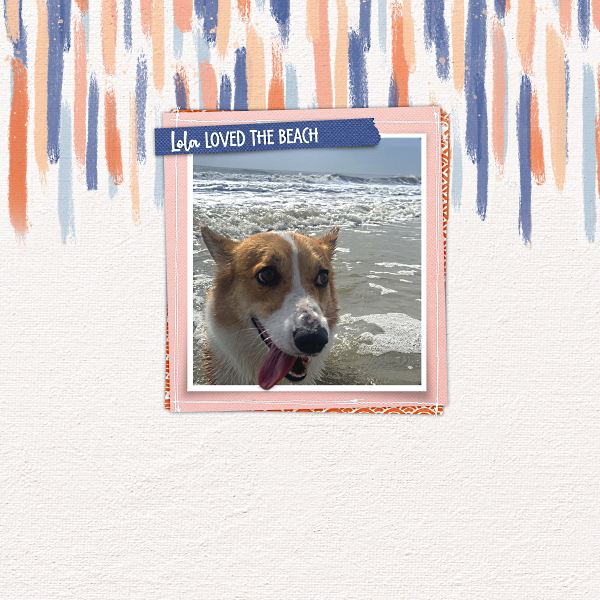 Lola Loved the Beach HHI 22